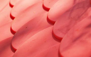 Clatto plastic roof costs