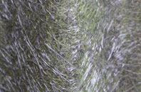 Clatto fibreglass roof work